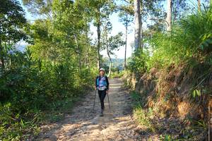 BIB: 
                            <button type="button" onclick="openModal(19342282)" class="btn btn-primary btn-sm float-right btn-popup" data-toggle="modal" data-target=".modal-high-quality">
                        <i class="fas fa-shopping-cart"></i> Add to Cart
                    </button>
                                            <button type="button" onclick="isThisMe(19342282, true)" class="btn btn-success btn-sm float-right btn-popup btn-isme hidden" data-toggle="tooltip" data-placement="bottom" title="นี่คือรูปของคุณใช่ไหม คลิกที่นี่เพื่อเอาเข้าอัลบั้ม">
                        <i class="fas fa-plus"></i> Add to album
                    </button>
                    <button type="button" onclick="isThisMe(19342282, false)" class="btn btn-warning btn-sm float-right btn-popup btn-isnotme hidden">
                        <i class="fas fa-ban"></i> Remove from album
                    </button>